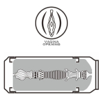 Lata Masturbadora Vagina Blond Ale - Imagen 10