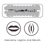 Masturbador Masculino Virgin-skin Vagina y Boca - Imagen 9