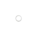Anillo Acero para el Pene - Imagen 2