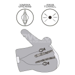 Streetgirls Masturbador Dual Motor Sensation Pulse - Imagen 15