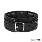 Collar con Correa Acolchado - Imagen 3