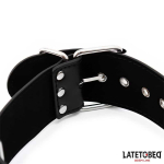 Collar y Esposas Ajustables - Imagen 3