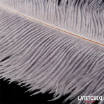 Pluma Estimuladora 44 cm - Imagen 4