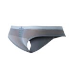 C4MSPX22 Calzoncillo Hybrid Cheeky Brief Mesh Grey - Imagen 4