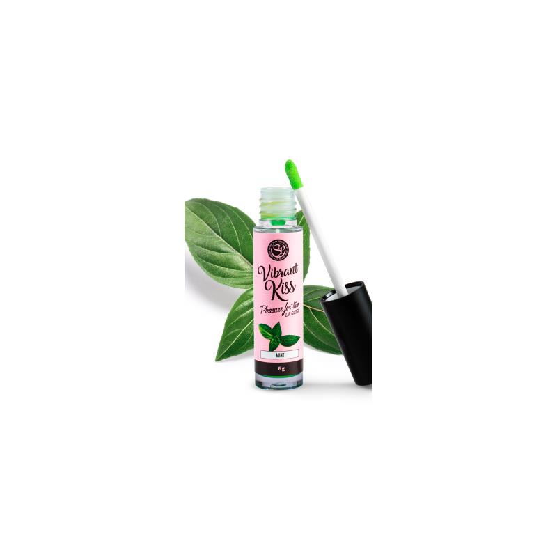 lip-gloss-vibrant-kiss-sabor-menta Lip Gloss Vibrant Kiss Sabor Menta - Imagen 1