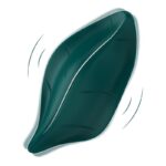 Vibrador de Braguita